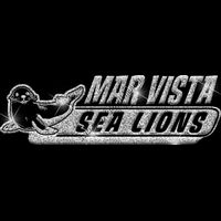 GLT102 SILVER GLITTER Thumbnail