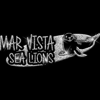 GLT100 SILVER GLITTER Thumbnail